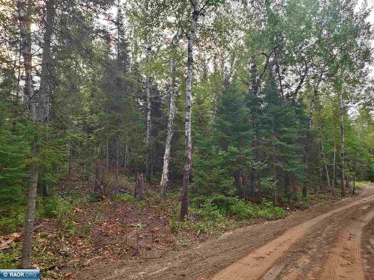 Lot 3 Moccasin Point Road Tower, MN 55790 - Photo 6 of 14