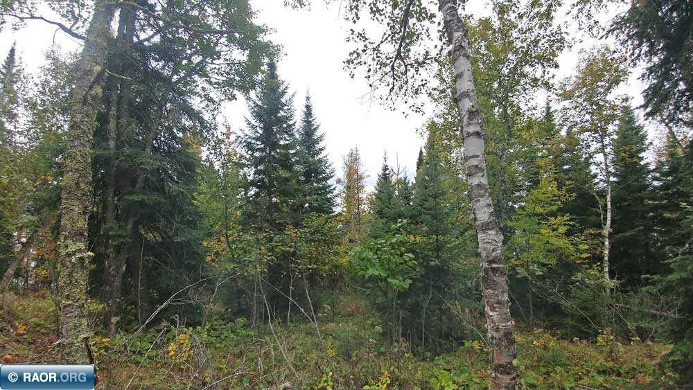 Lot 3 Moccasin Point Road Tower, MN 55790 - Photo 9 of 14