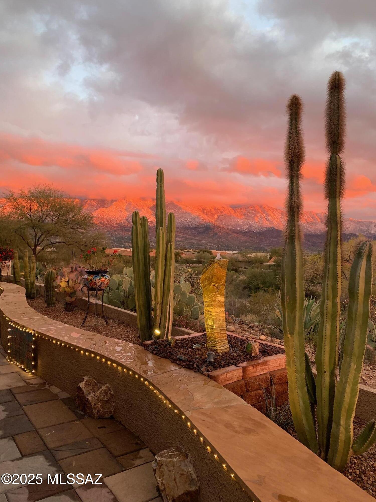 62893 East Flower Ridge Drive Tucson, AZ 85739 - Photo 42 of 49 1