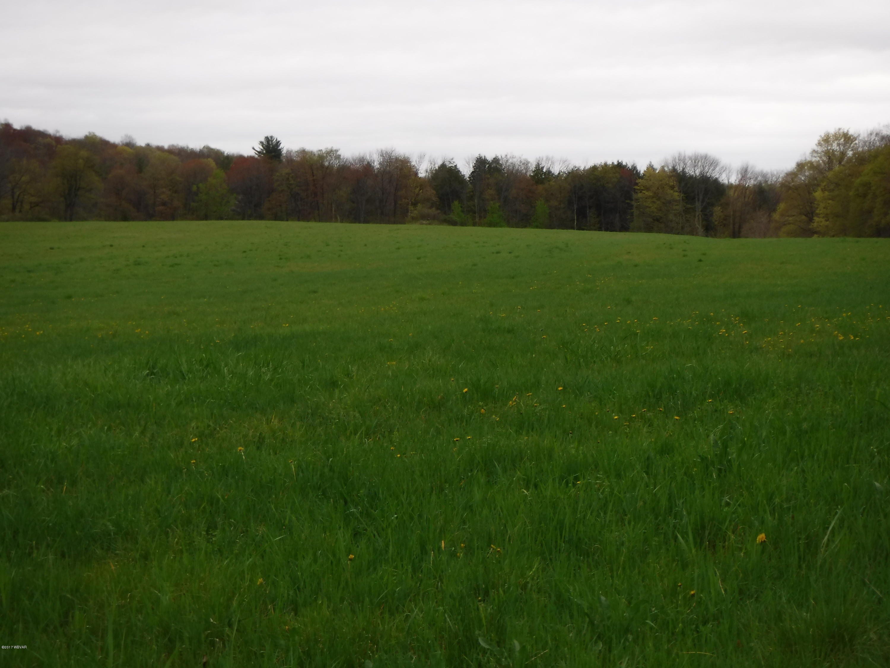 0 Beebe Road New Albany, PA 18833 - Photo 3 of 27 DSCF0164