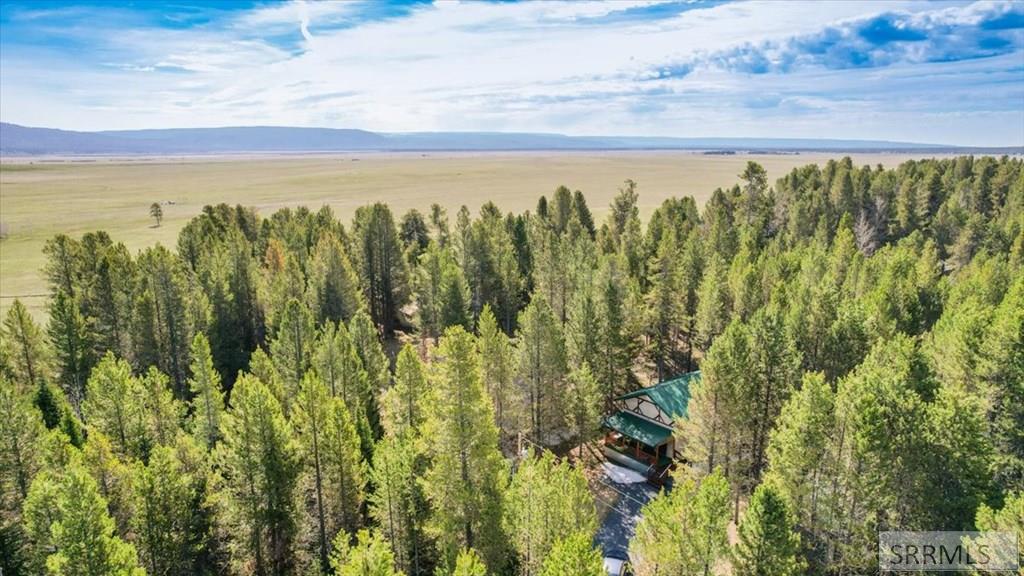 4010 Coyote Road Island Park, ID 83429 - Photo 55 of 62