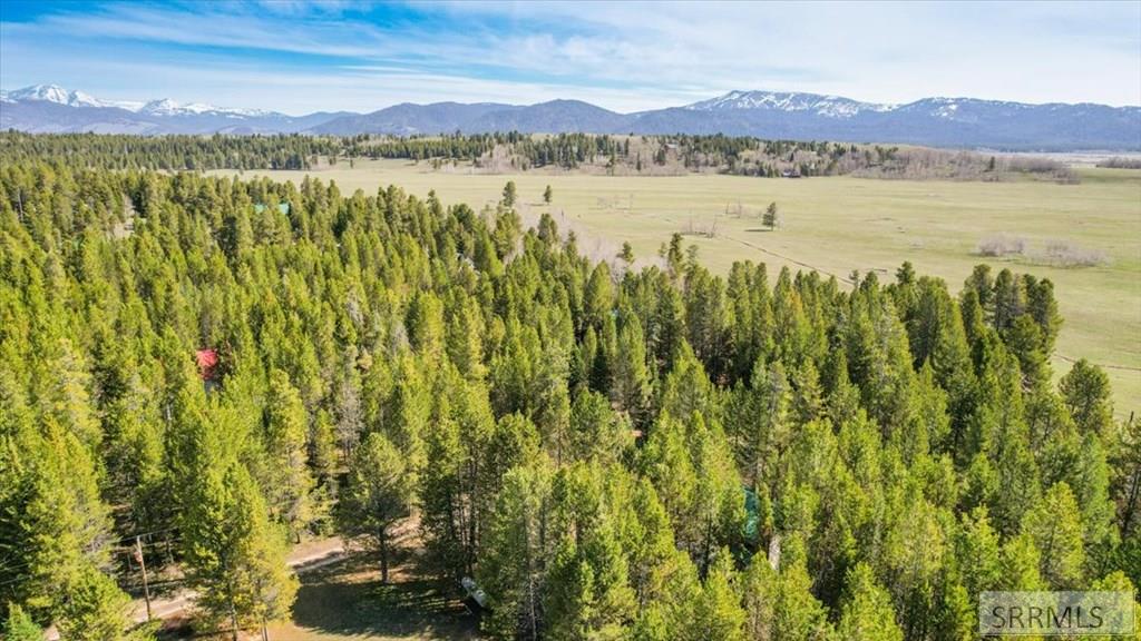 4010 Coyote Road Island Park, ID 83429 - Photo 58 of 62