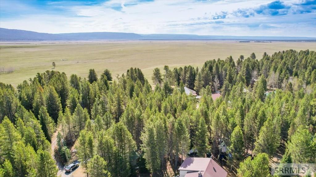 4010 Coyote Road Island Park, ID 83429 - Photo 59 of 62