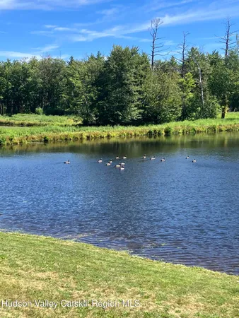 a view of a lake view
