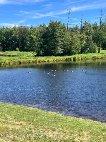 a view of a lake view