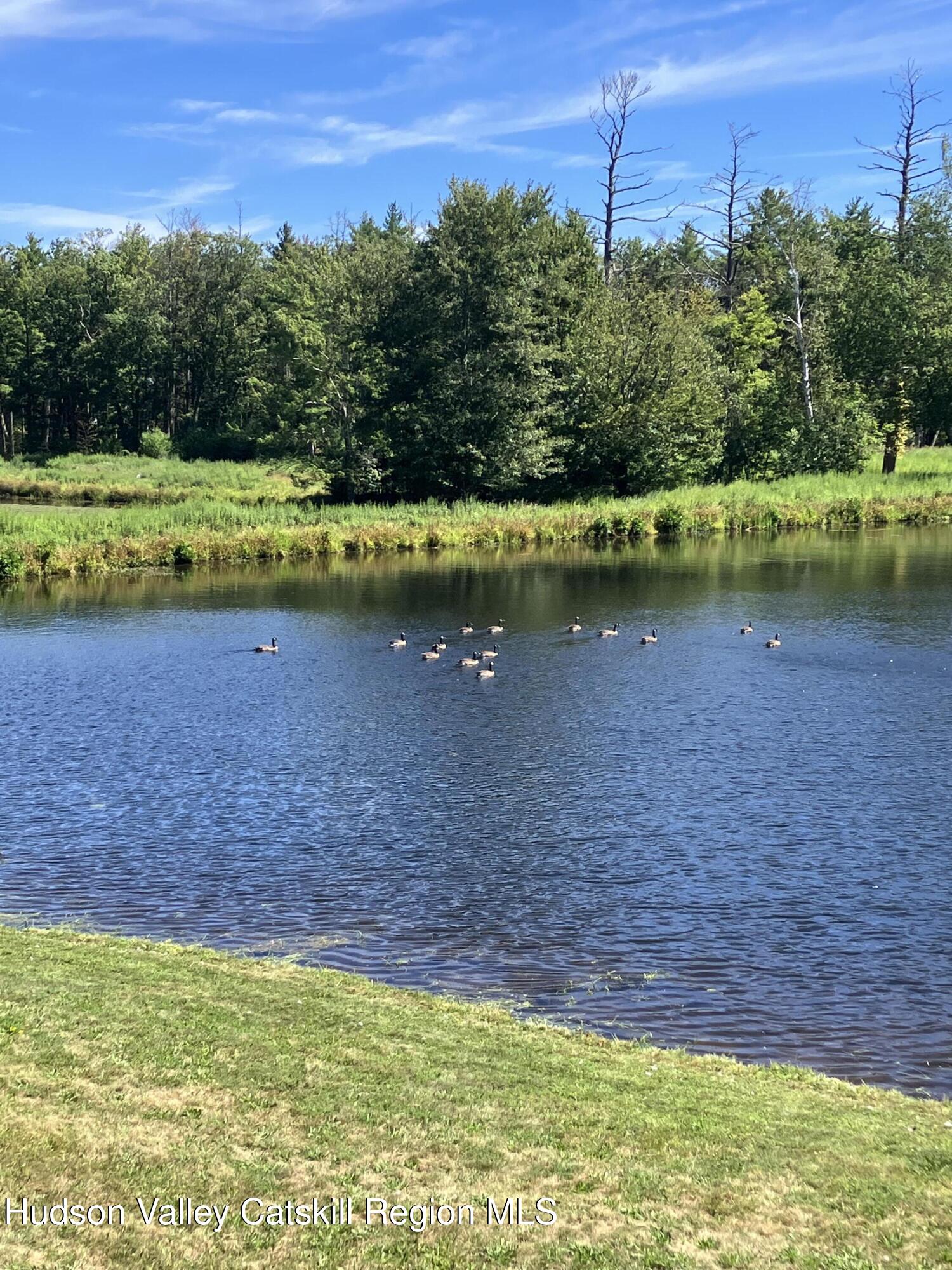 287 Game Farm Road Catskill, NY 12414 - Photo 12 of 33 a view of a lake with a yard