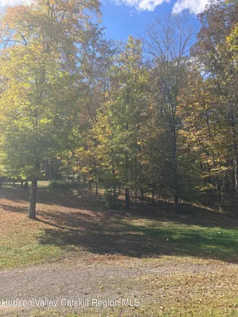 a view of a trees in a yard