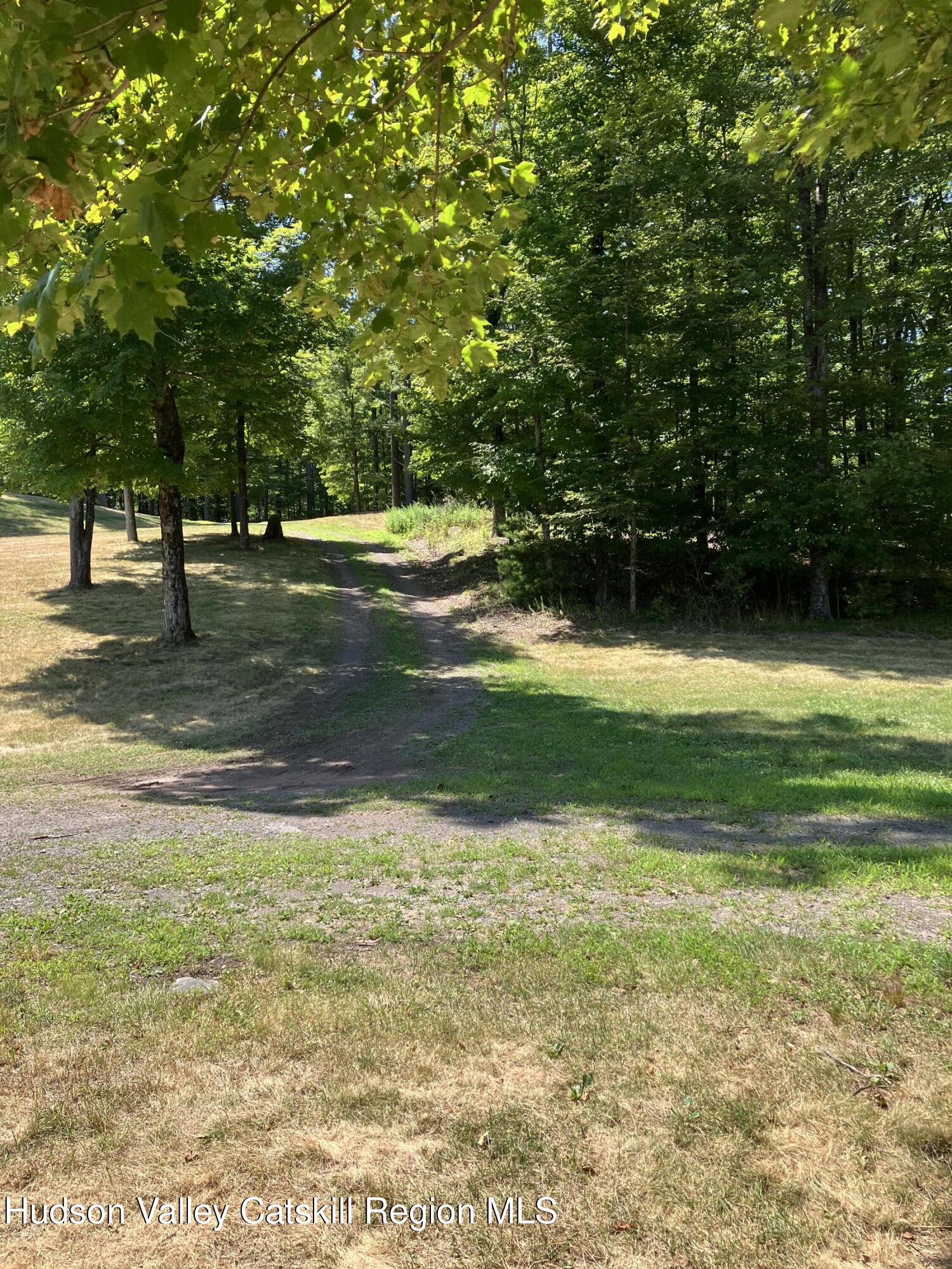 287 Game Farm Road Catskill, NY 12414 - Photo 29 of 33 a view of a trees in a yard