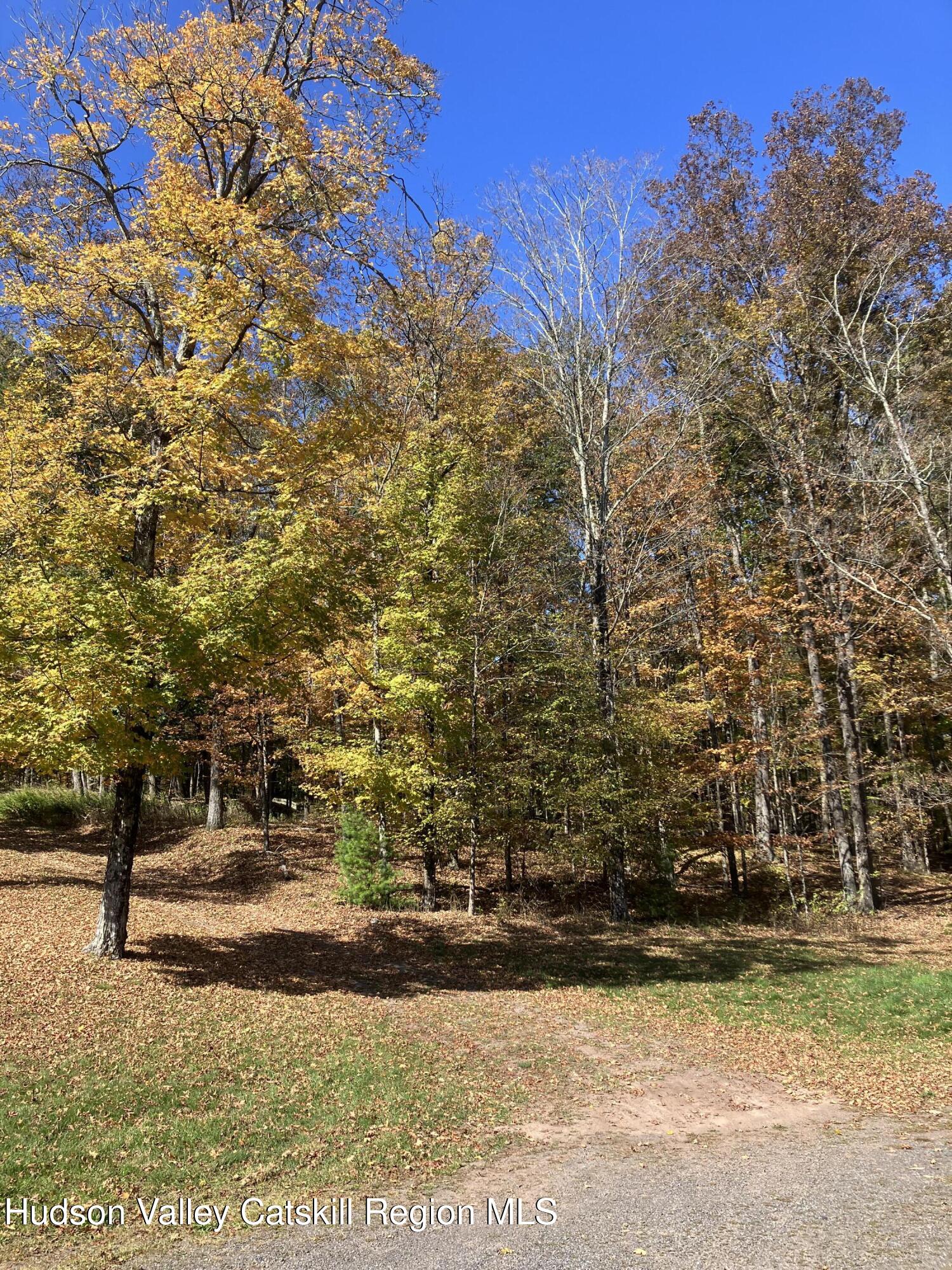 287 Game Farm Road Catskill, NY 12414 - Photo 9 of 33 a view of outdoor space with trees