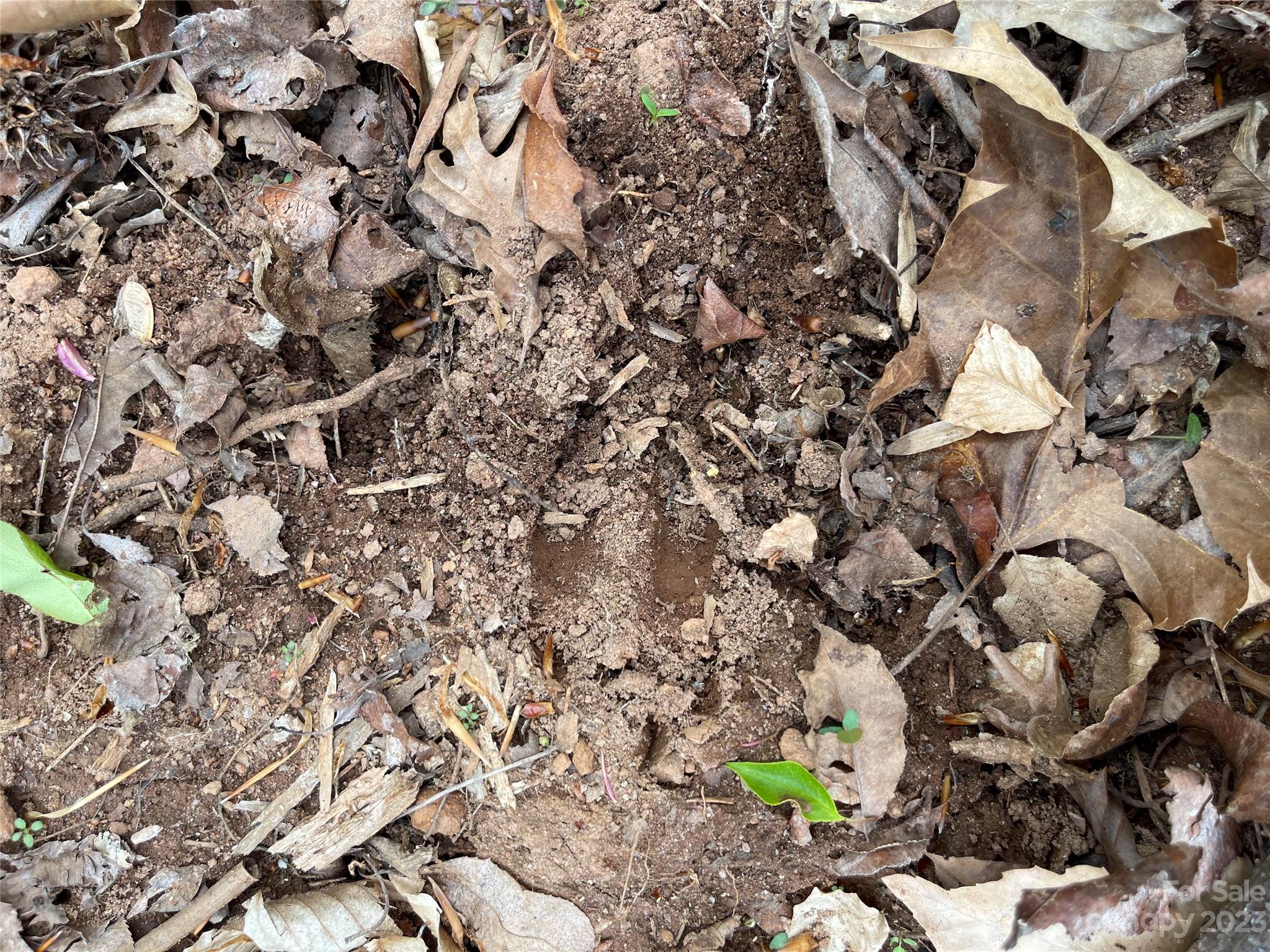 Tbd Midway Road Statesville, NC 28625 - Photo 23 of 25 Gallery Image 23