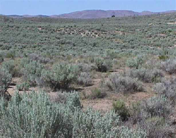 8 Belgian Reno Nv 89506 Reno, NV 89501 - Photo 1 of 1