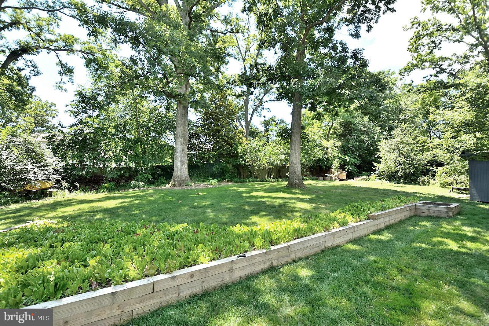 2003 Marthas Road Alexandria, VA 22307 - Photo 21 of 22 Back Yard
