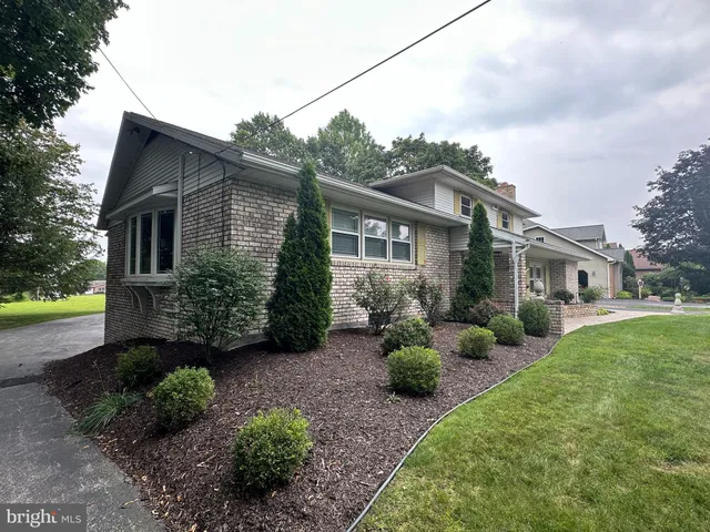 a view of a park with large trees
