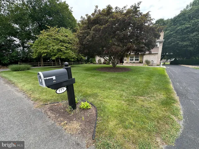 a view of a yard with a tree