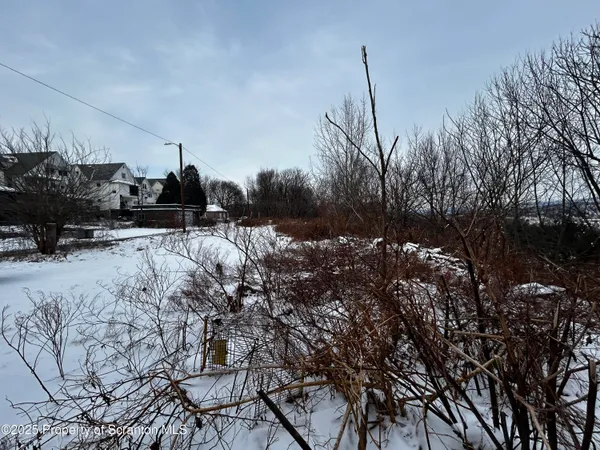 a view of a yard of the house