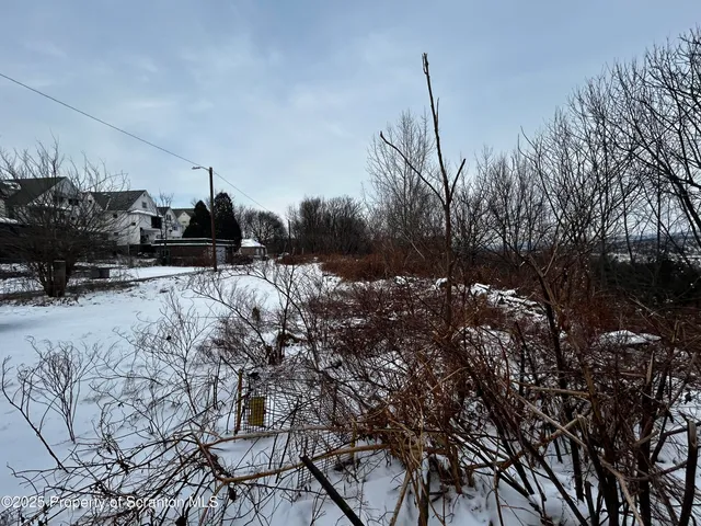 a view of a yard of the house
