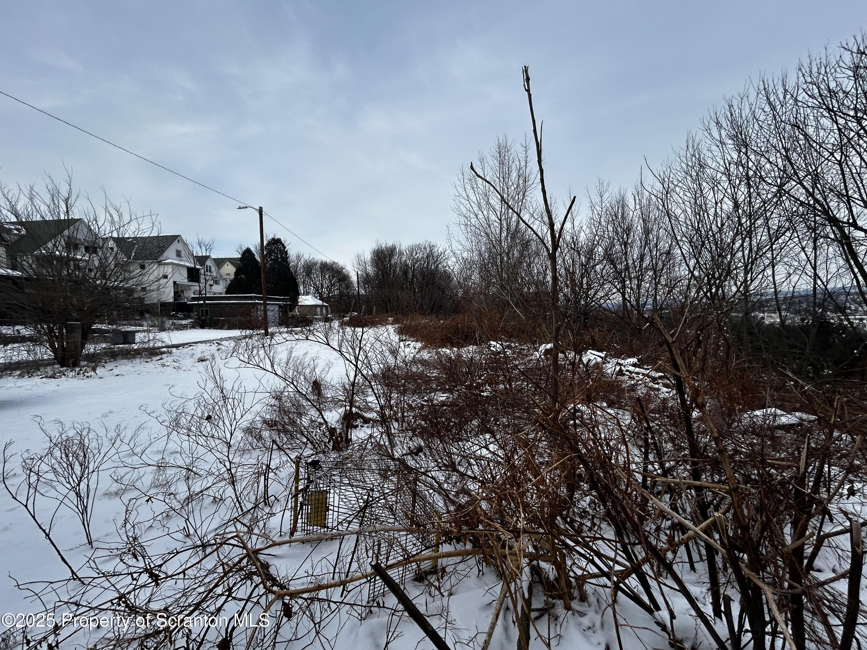 833 Powderly Court Scranton, PA 18504 - Photo 5 of 9 a view of a yard of the house