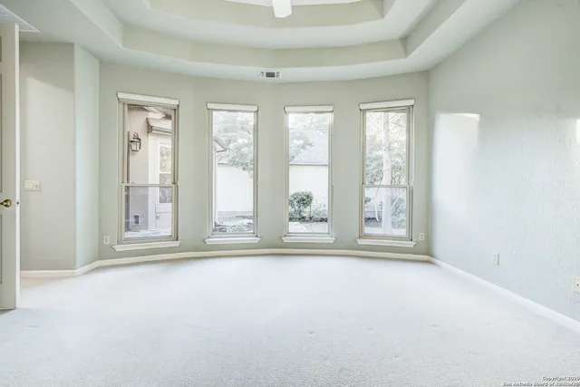 a view of a yard with plants and large trees