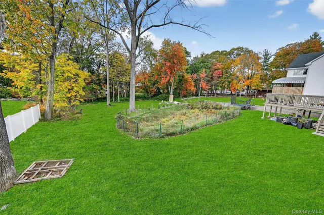 a view of a park with large trees
