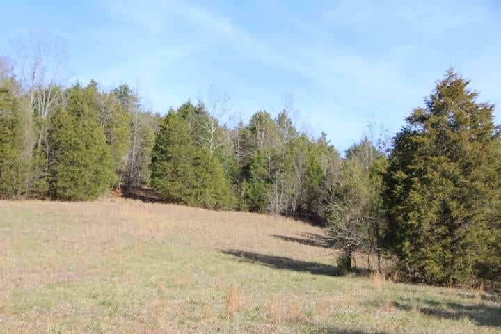 Froedge Dubree Road Summer Shade, KY 42166 - Photo 17 of 37 Gallery Image 17