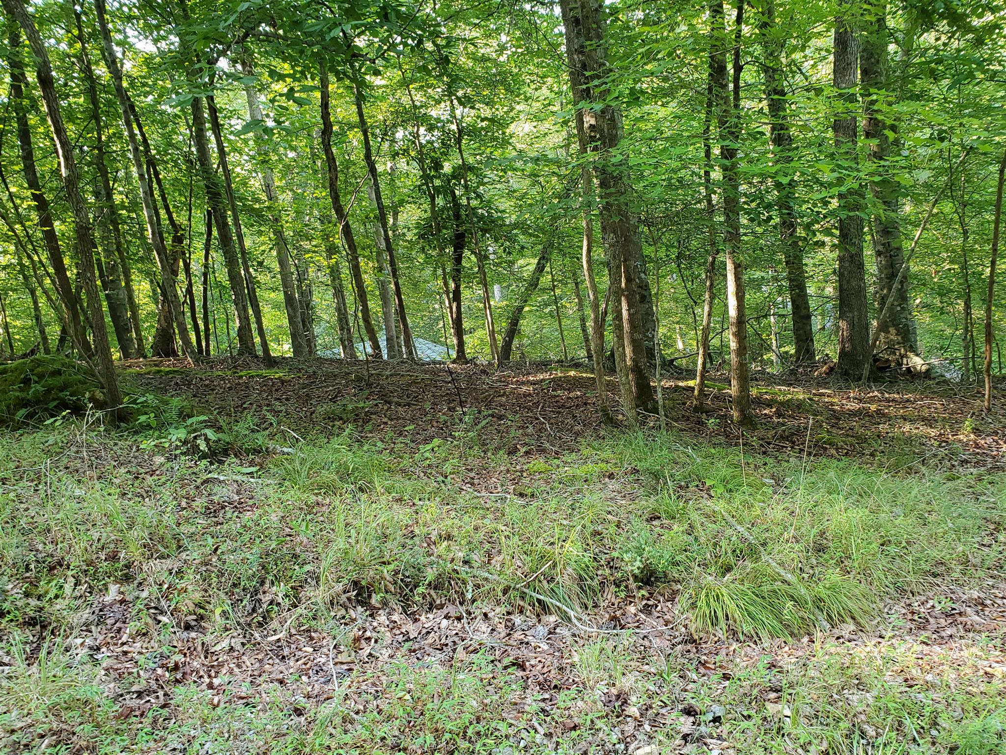 159 4 Seasons Road Smithville, TN 37166 - Photo 3 of 6 Gallery Image 3