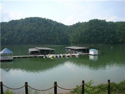 159 4 Seasons Road Smithville, TN 37166 - Photo 5 of 6 four seasons marina