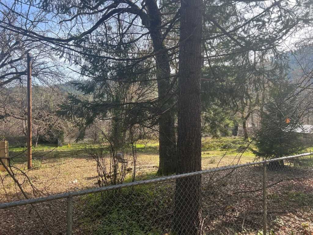 308 Buckhorn Road Happy Camp, CA 96039 - Photo 3 of 3 Gallery Image 3