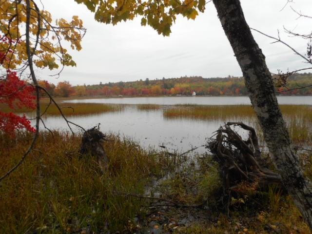 100 Sibley Road Burlington, ME 04417 - Photo 3 of 5 Photo