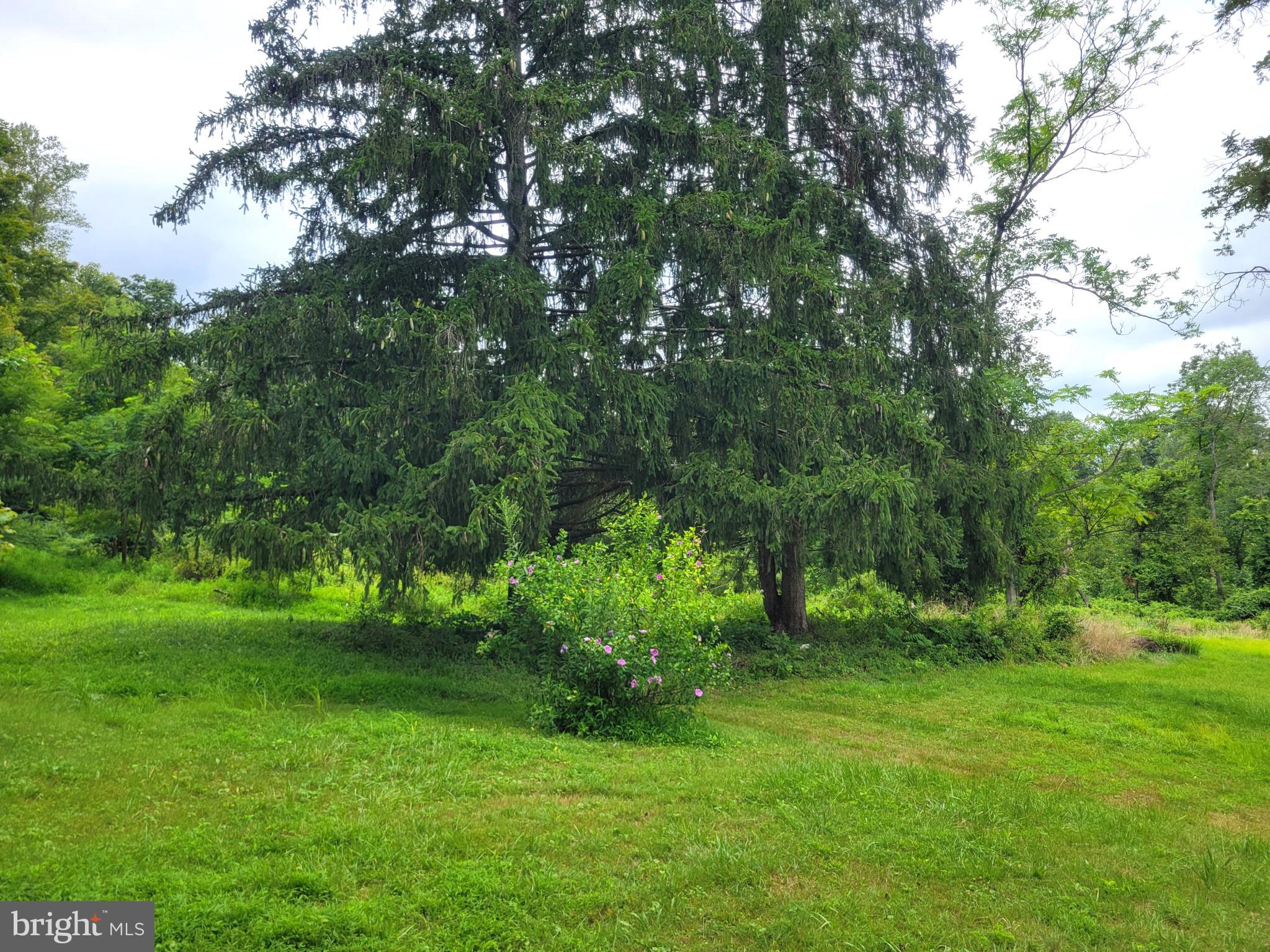 179 Topper Road Fairfield, PA 17320 - Photo 16 of 23 a green field with lots of trees in it