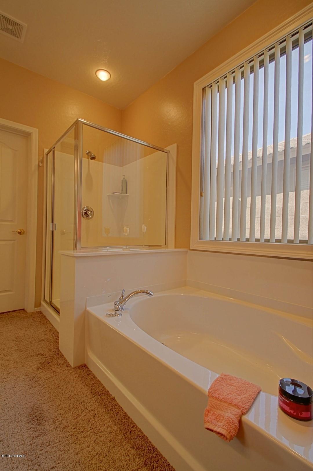 15911 West Hearn Road Surprise, AZ 85379 - Photo 24 of 39 Hearn (24)
