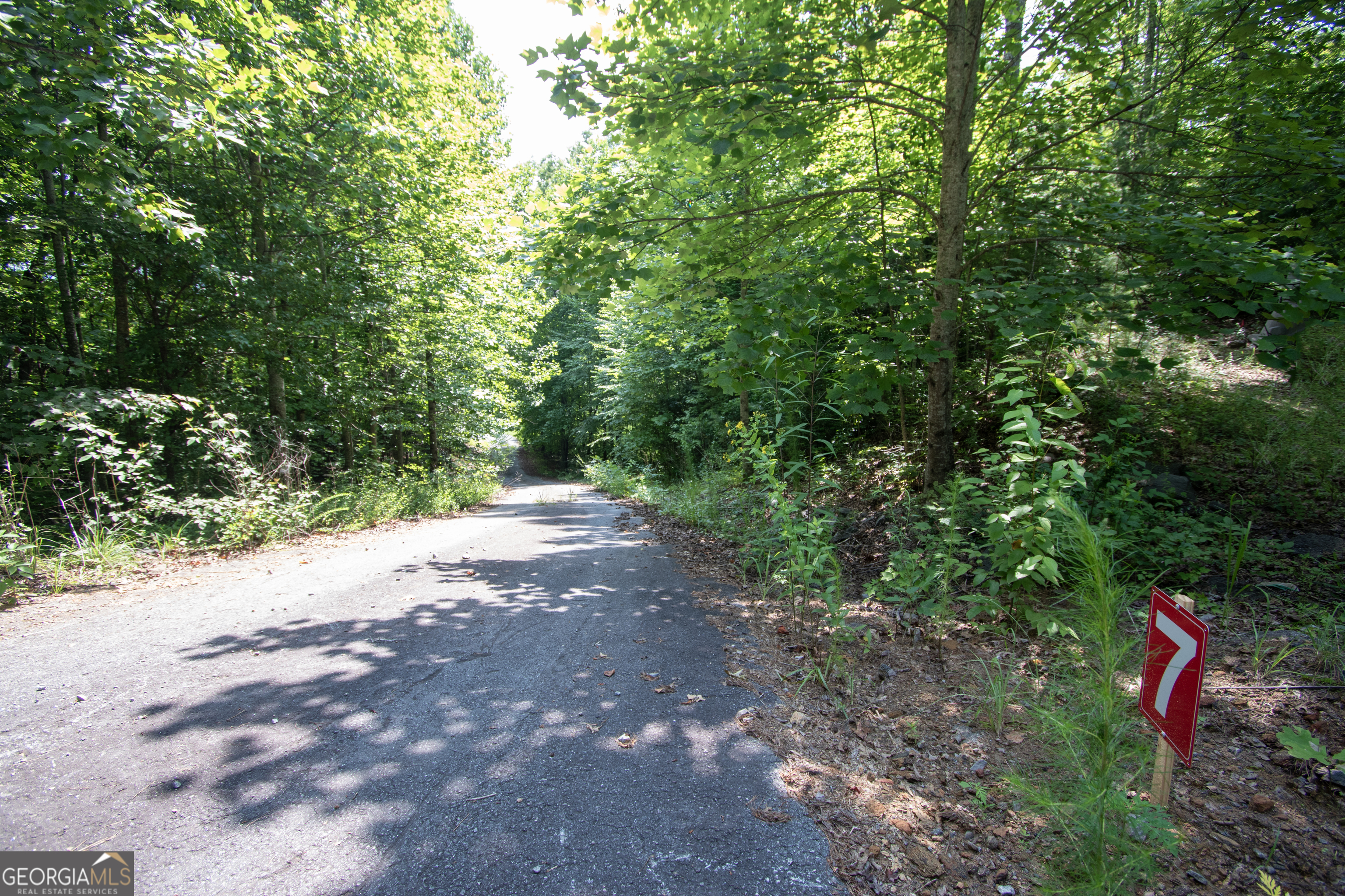 850 Bluff Road Marble, NC 28905 - Photo 7 of 31 Gallery Image 7