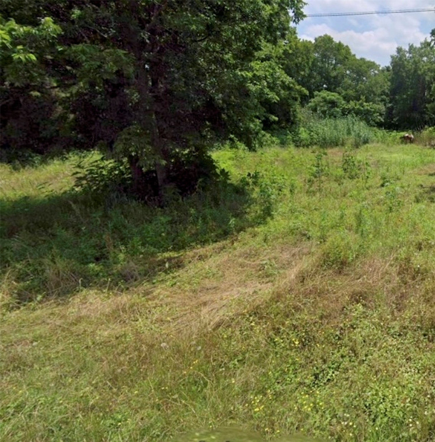0 Martin Luther King Street Calvert, TX 77837 - Photo 1 of 3 a view of a yard with plants and a bench