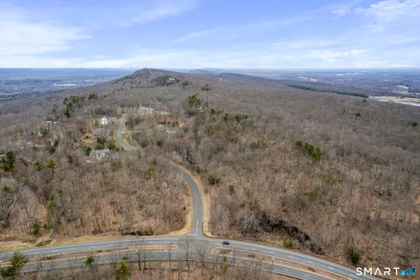 a view of a yard from a yard