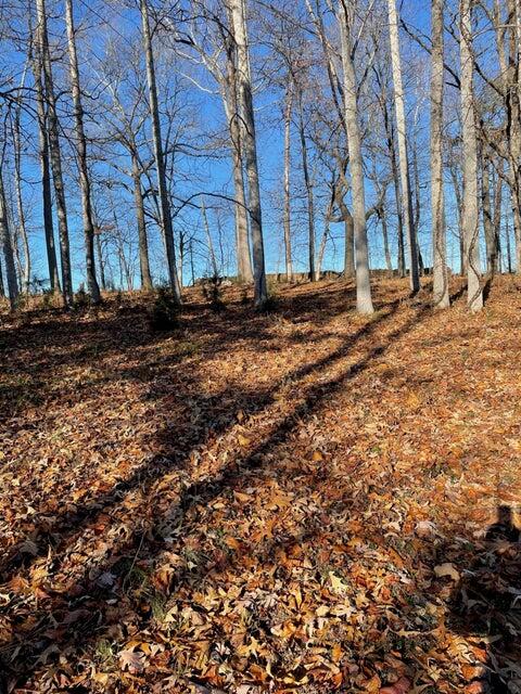 Lot 49 Lake View Point Glade Hill, VA 24092 - Photo 2 of 6