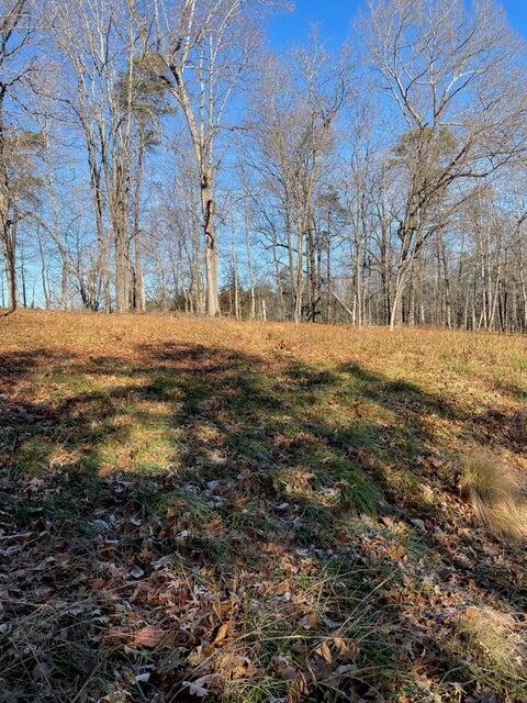 Lot 49 Lake View Point Glade Hill, VA 24092 - Photo 3 of 6 a big yard with lots of green space