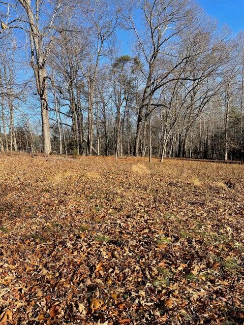 Lot 49 Lake View Point Glade Hill, VA 24092 - Photo 4 of 6