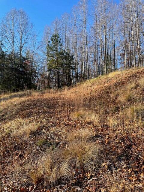 Lot 49 Lake View Point Glade Hill, VA 24092 - Photo 5 of 6 a view of a yard with trees