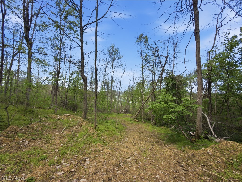 59674 Yoker Valley Road Quaker City, OH 43773 - Photo 46 of 50