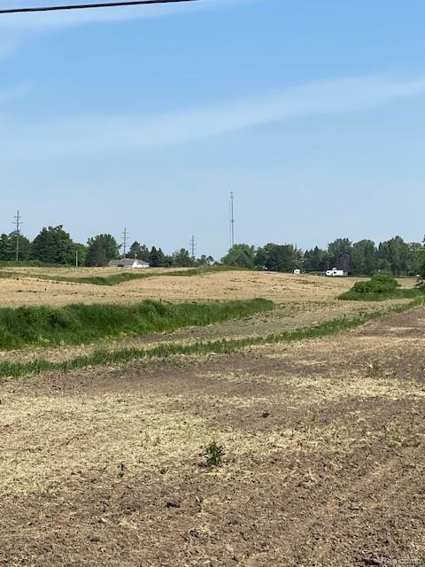 7451 Fostoria Road Mayville, MI 48744 - Photo 10 of 41