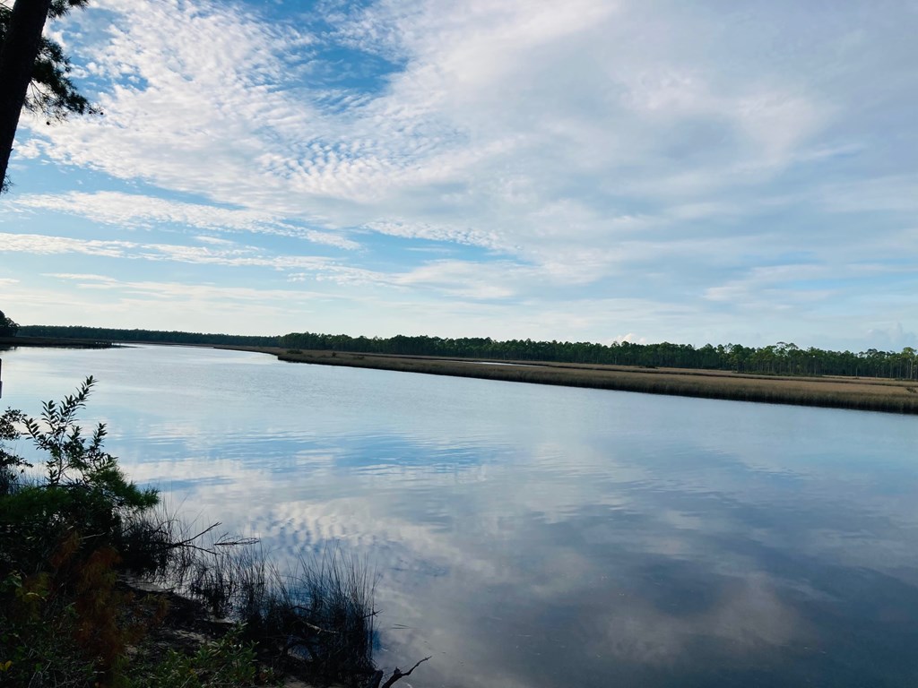 510 River Road Carrabelle, FL 32322 - Photo 2 of 11