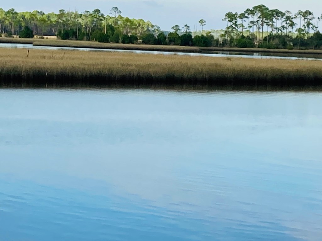 510 River Road Carrabelle, FL 32322 - Photo 5 of 11