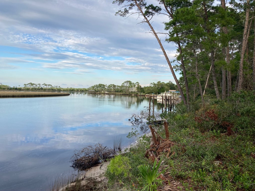 510 River Road Carrabelle, FL 32322 - Photo 6 of 11