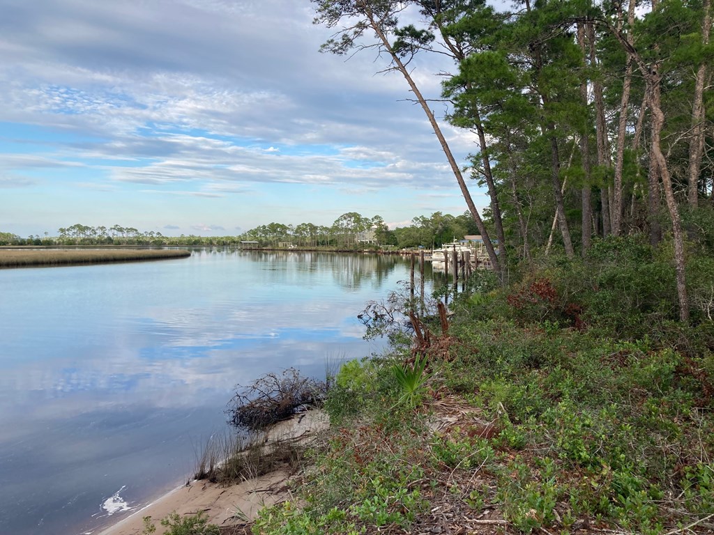 510 River Road Carrabelle, FL 32322 - Photo 8 of 11