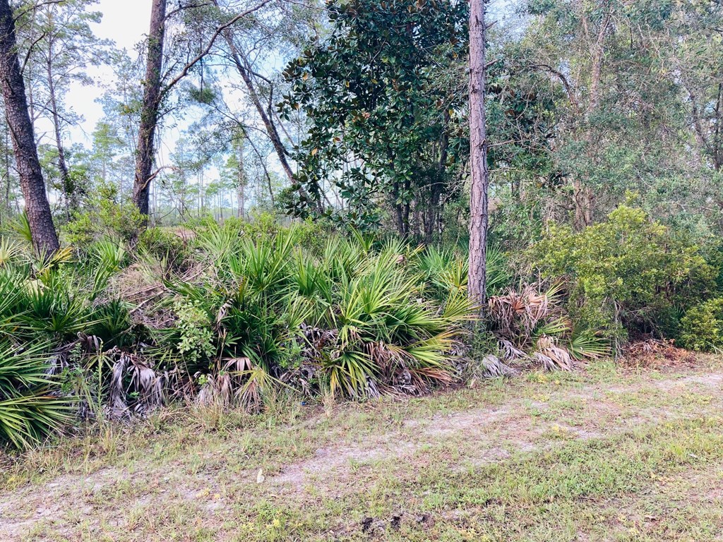 510 River Road Carrabelle, FL 32322 - Photo 9 of 11