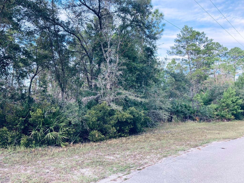 510 River Road Carrabelle, FL 32322 - Photo 10 of 11