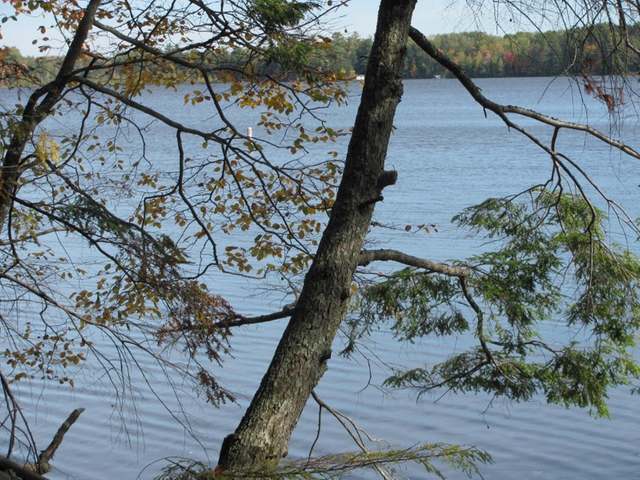 7437 Russell Road Three Lakes, WI 54562 - Photo 12 of 20 Gallery Image 12