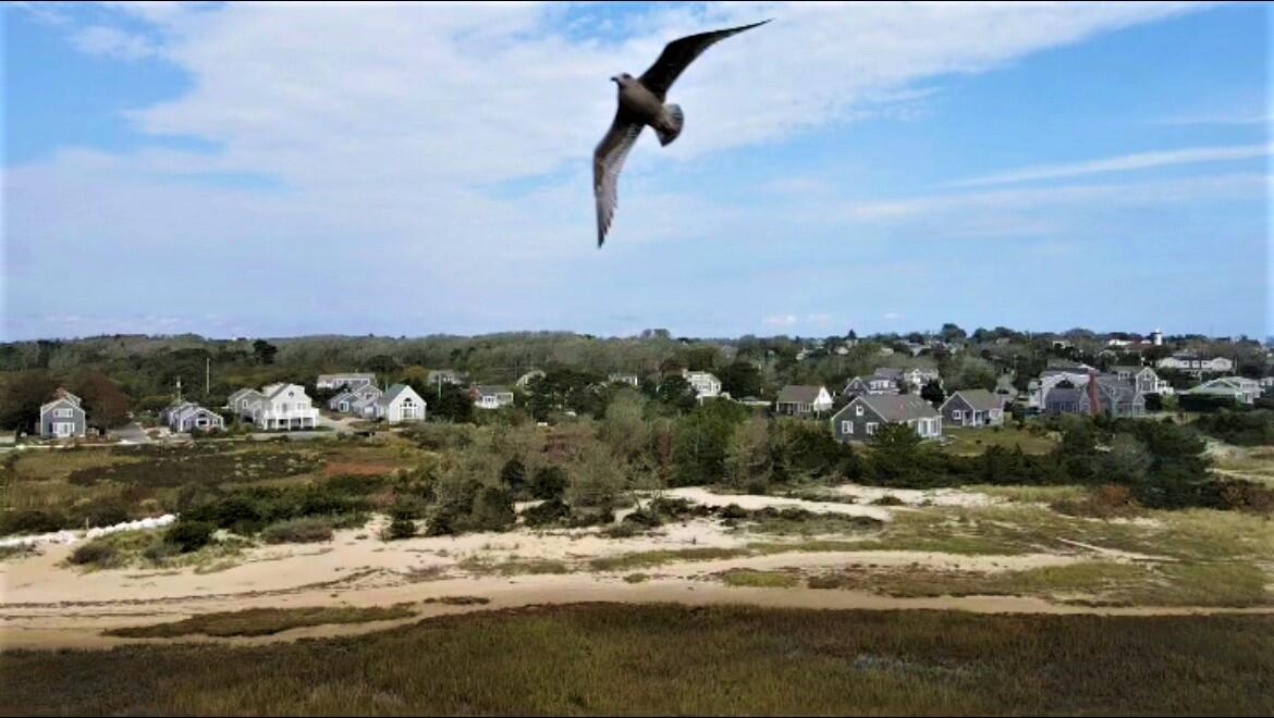 0 Seagull Road Chatham, MA 02633 - Photo 18 of 22 IMG-0165