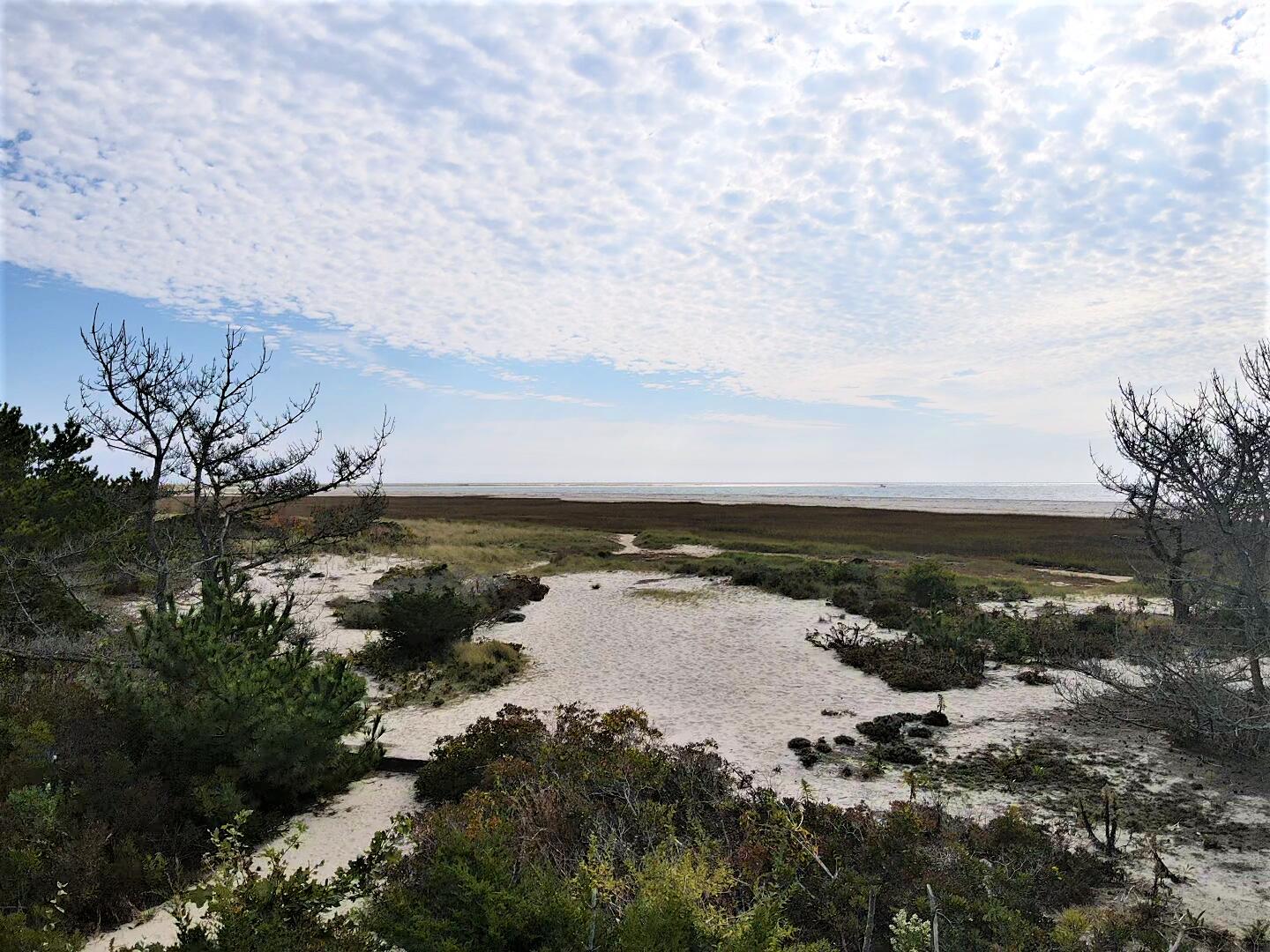 0 Seagull Road Chatham, MA 02633 - Photo 3 of 22 2021-10-16-11-07-13-978