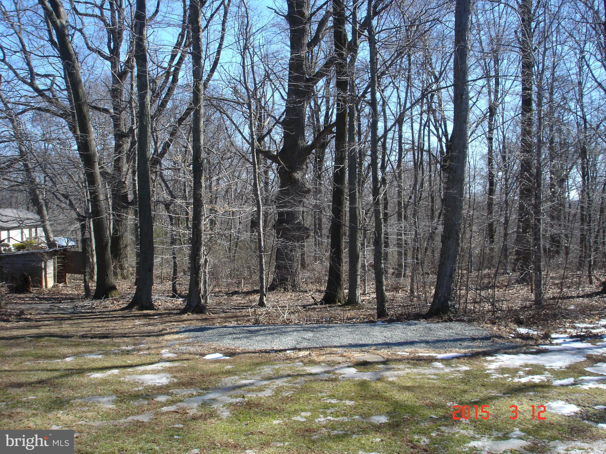 1200 Rock Springs Road Rising Sun, MD 21911 - Photo 7 of 20 View
