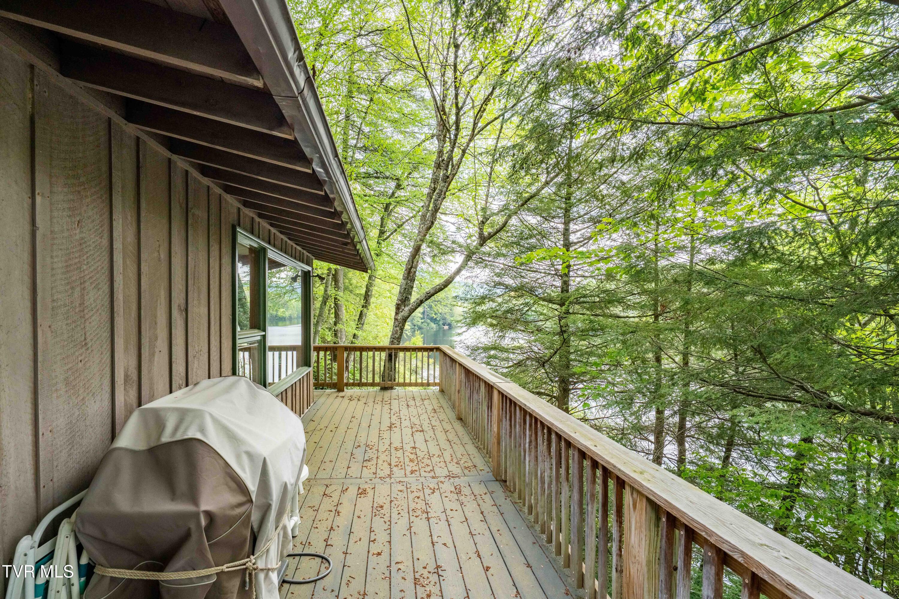150 Ripshin Lake Road Roan Mountain, TN 37687 - Photo 22 of 35 150 Ripshin Lake (8 of 46)